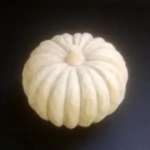 小菊かぼちゃ