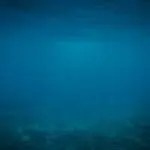 集中の海(深くまで潜る)