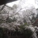 吉野水分神社
