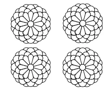 八重菊_下絵