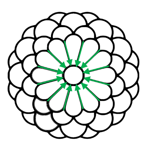 八重菊_指示書2