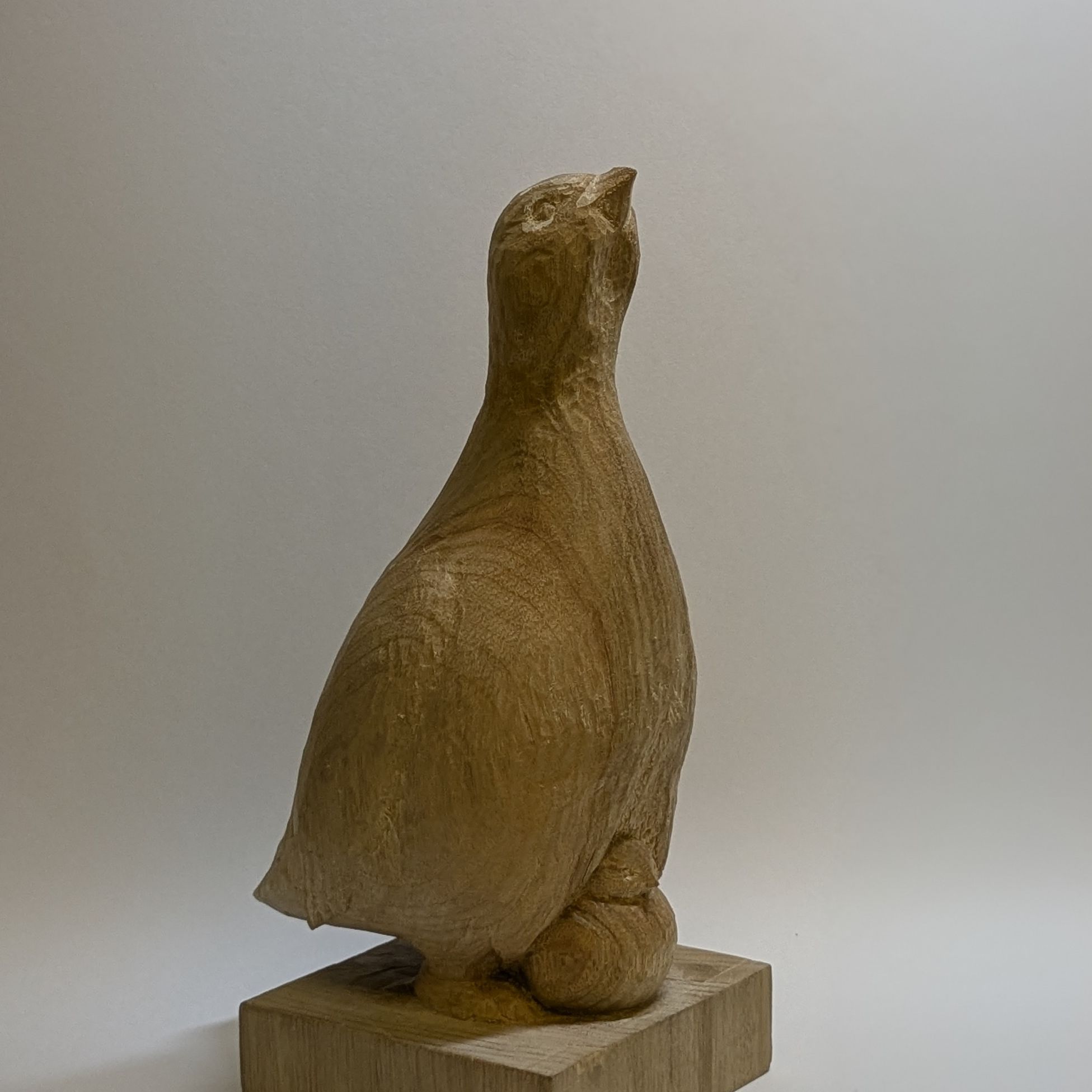 雷鳥親子(作:都 広志)
